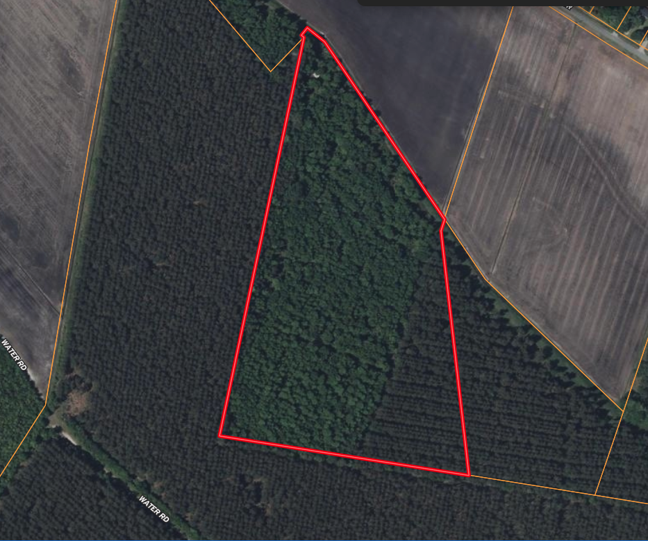 25 AC Timber & Hunting Tract Near Bath, NC – Secluded Gem